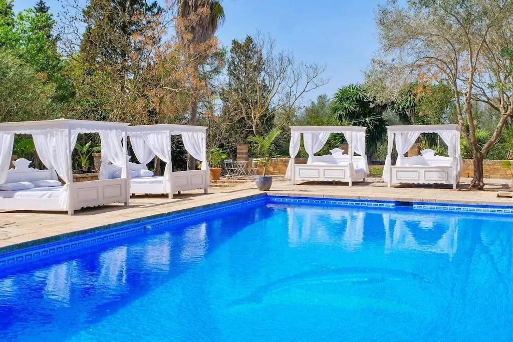Caragol, Modern, Ruhig,Stilvoll, Xxl Pool, Wifi, Apartment Manacor   Manacor (Mallorca)