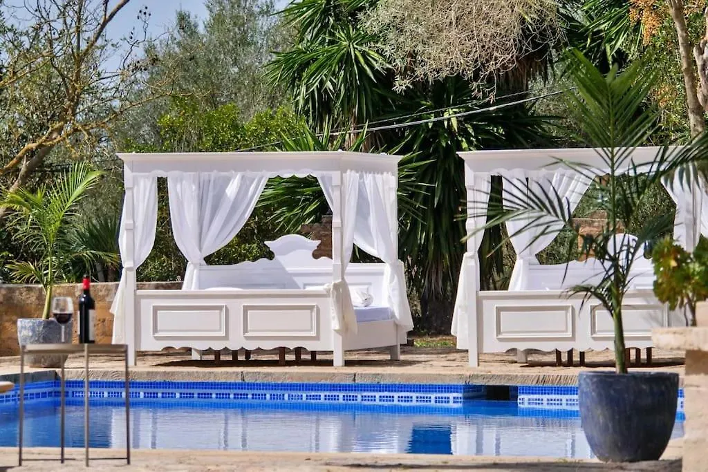 Caragol, Modern, Ruhig,Stilvoll, Xxl Pool, Wifi, Apartment Manacor   Manacor (Mallorca)